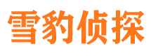 北宁找人公司